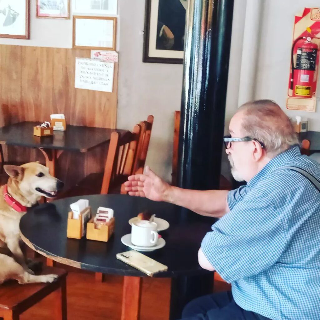 Conheça a história de Corchito: o cachorrinho que faz companhia aos clientes em um bar argentino