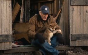 cachorros mais famosos da TV