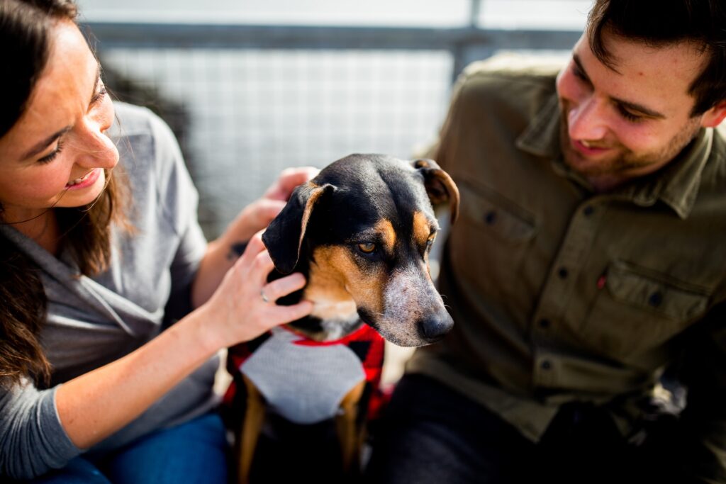 benefícios psicológicos de ter cachorro