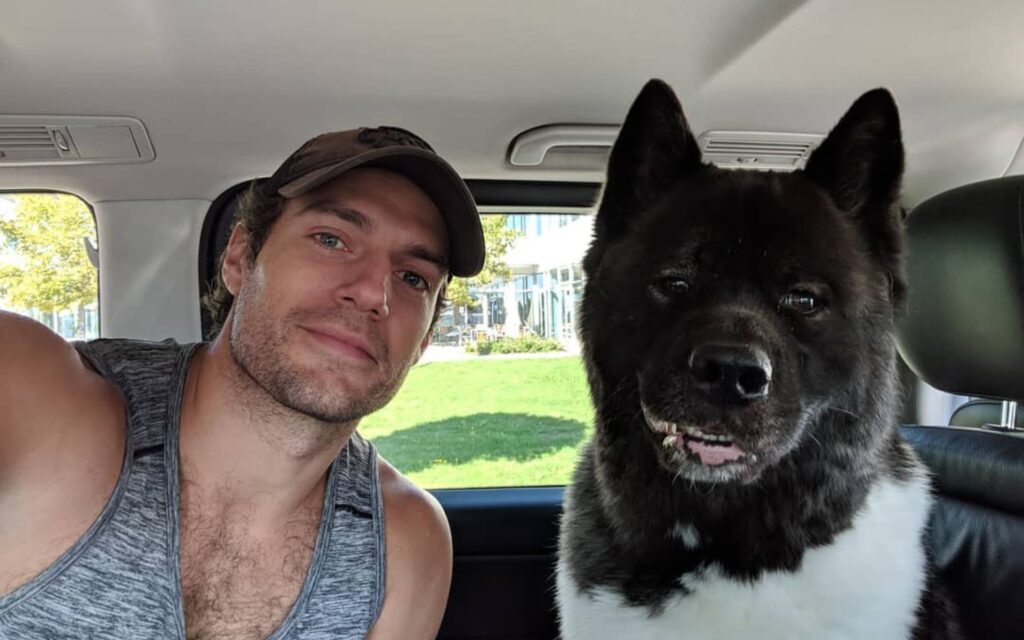 henry cavill e kal