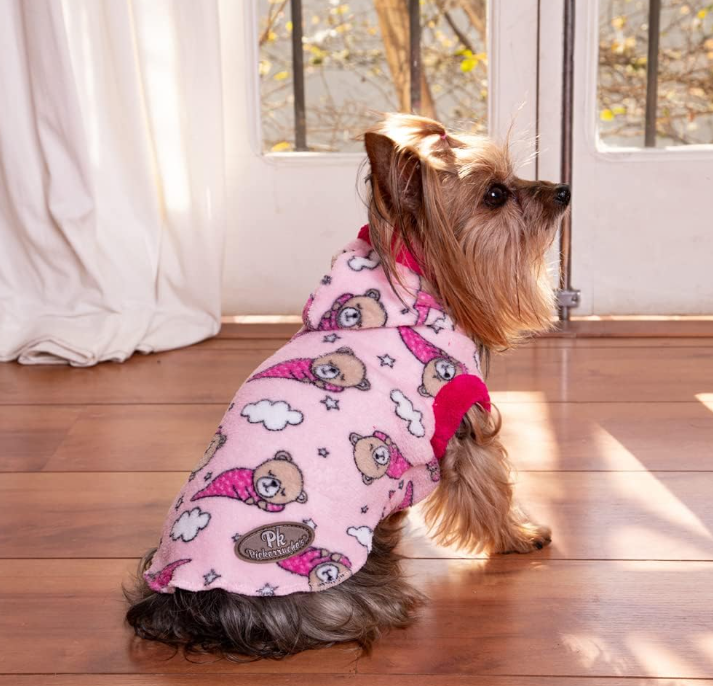 Como proteger o cachorro no inverno