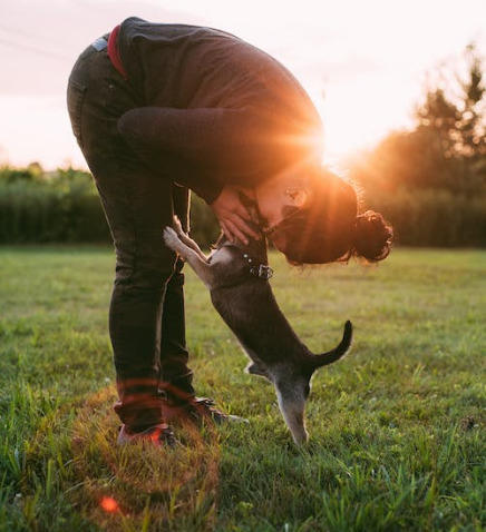 Donos de cães são mais felizes que donos de gatos, revela pesquisa