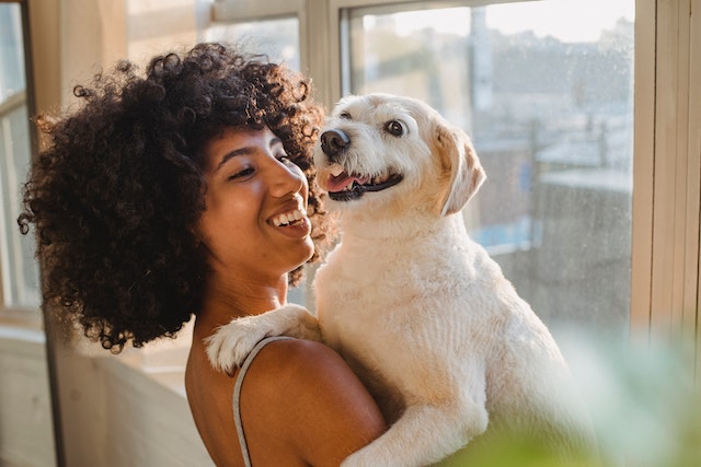 Como diminuir a queda de pelos do cachorro