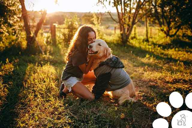 cachorros para o signo de Leão