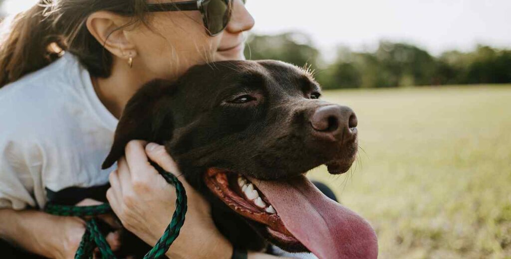 Cachorro é feliz