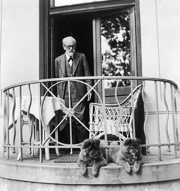 Freud e os cães