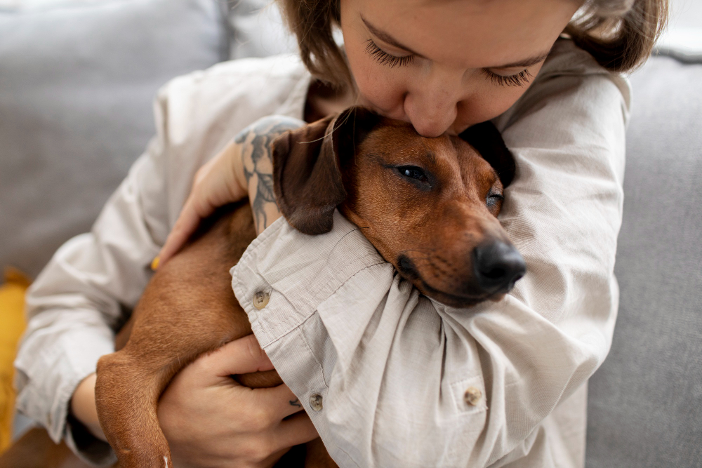 O que é a cinomose canina? Saiba como identificar os sintomas