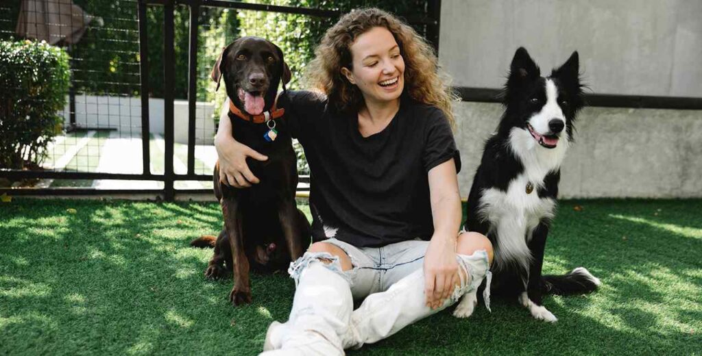 cachorros para o signo de leão