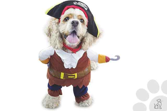 roupas de halloween para cachorro