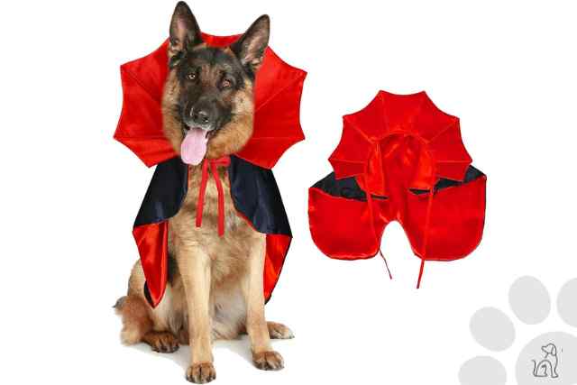 roupas de halloween para cachorro