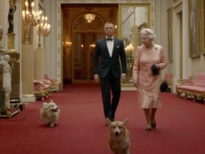 Cachorro da Rainha Elizabeth