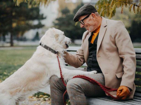 como o cachorro diz que ama