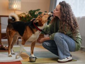 O que significa quando o cachorro te lambe muito