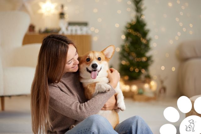 Por que o cachorro tem medo de fogos