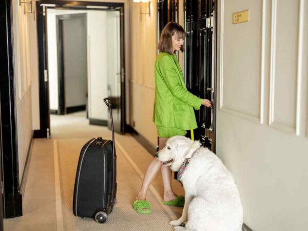 hotel pet friendly