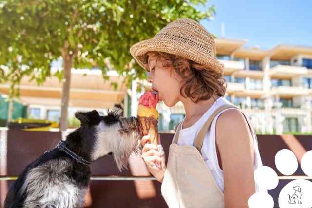 o que cachorros não podem comer