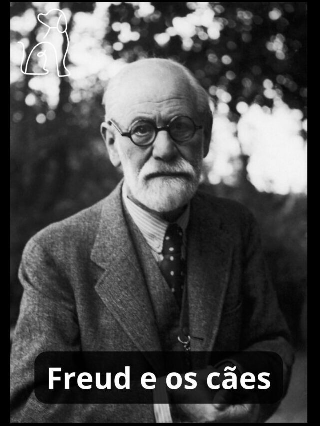 Freud e os cães