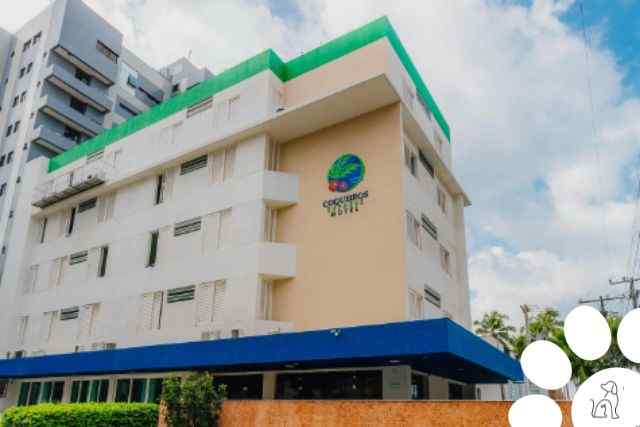 hoteis pet friendly em maceio coqueiro