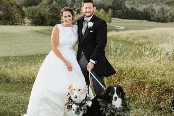 Cachorros no casamento