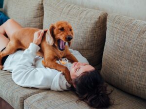 cachorros mais carinhosos