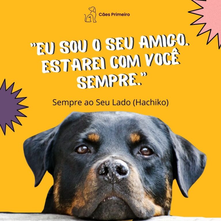 frases para cachorro