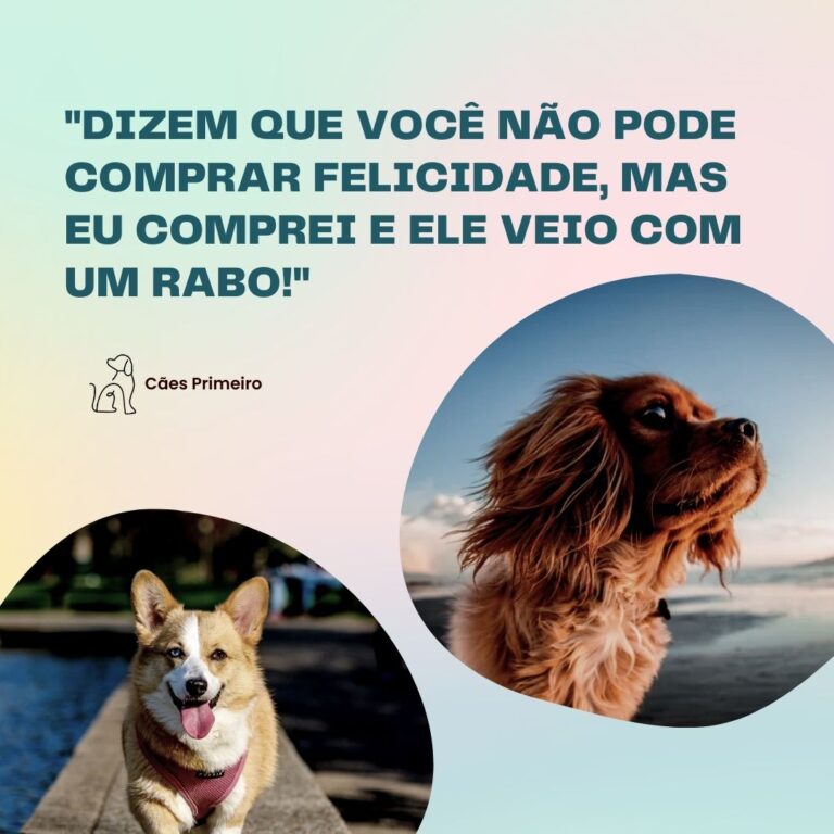 frases para cachorro