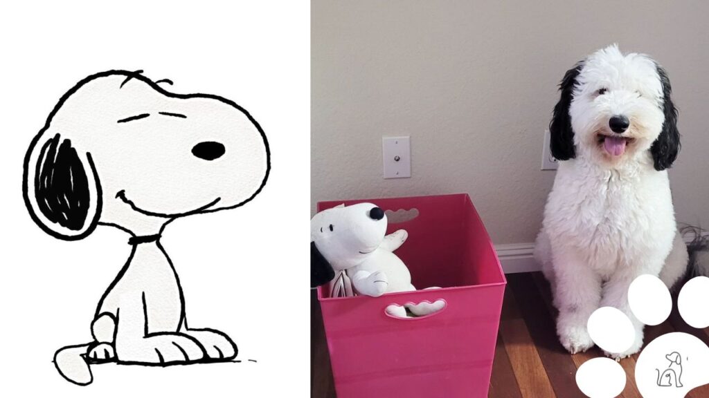Snoopy da vida real