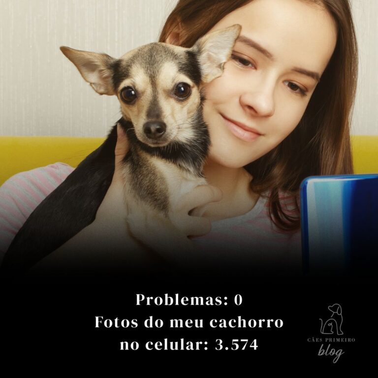 Frases para cachorro que revelam o amor de pet: frases curtas para status 1 frases engraçadas para cachorros