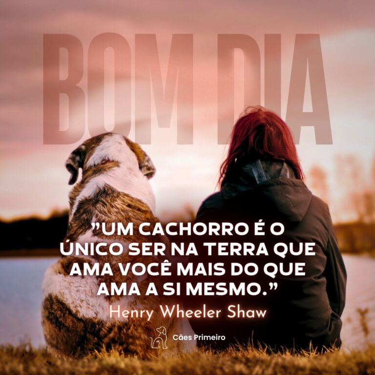 frases para cachorro