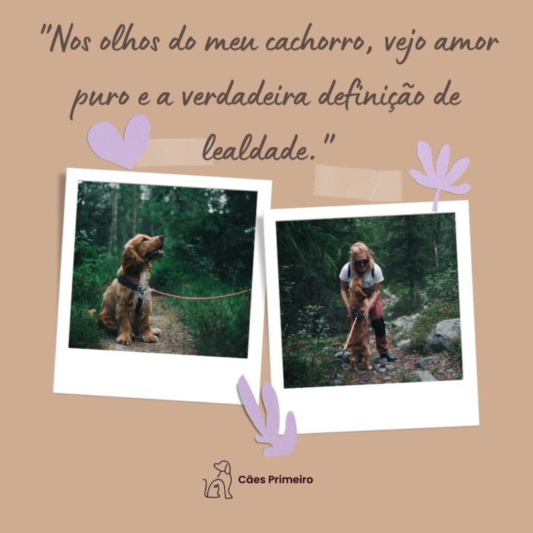 frases para cachorro