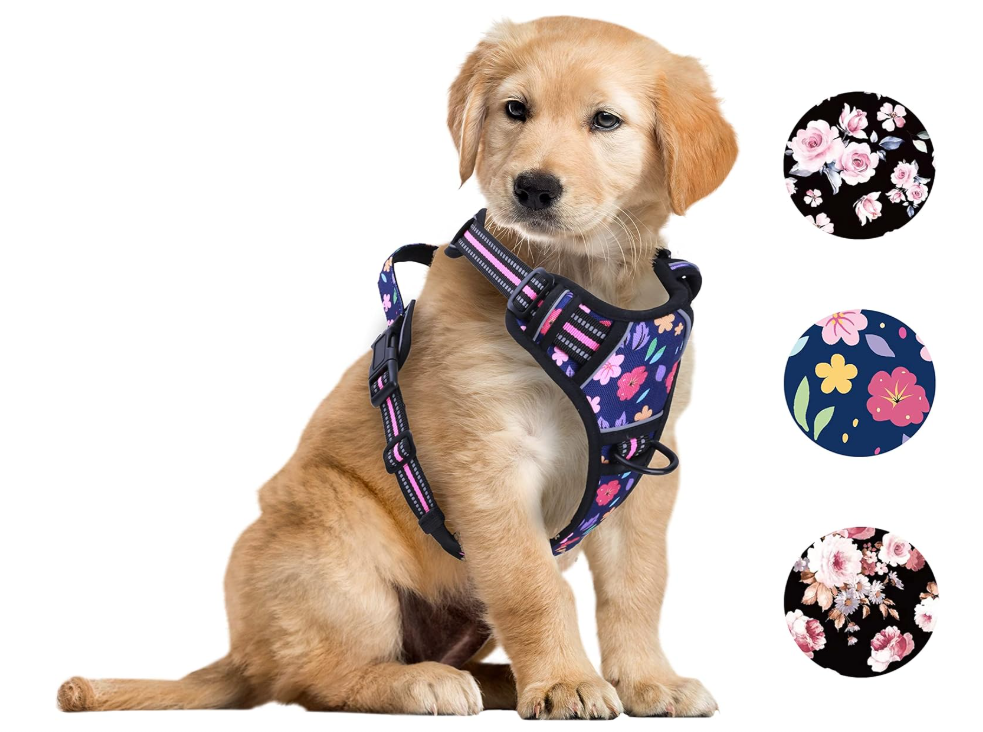 Coleiras anti-puxão para cachorro