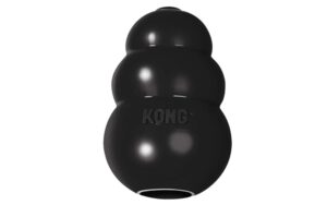 kong brinquedo para cachorro