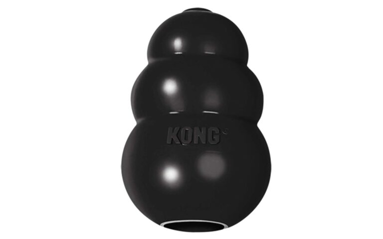 kong brinquedo para cachorro