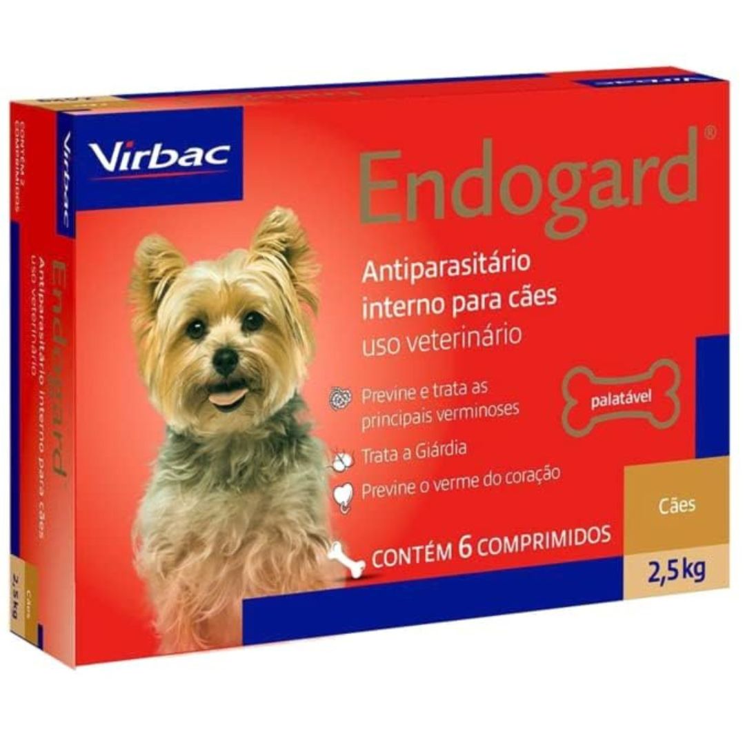 Remédios para verme para cachorro: 6 opções econômicas