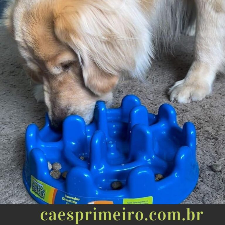 comedouro lento para cachorro