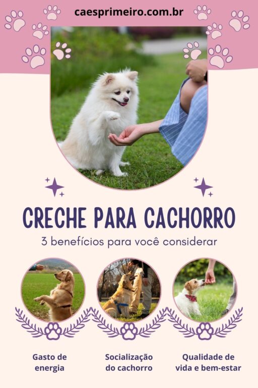 creche para cachorro