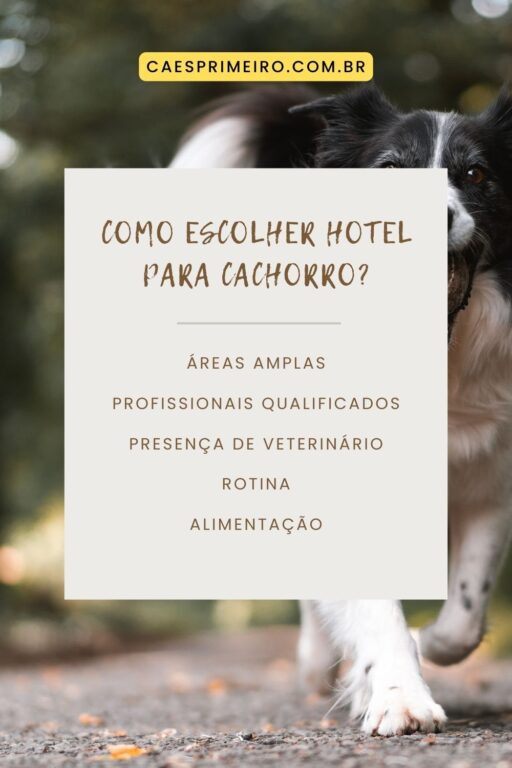 hotel para cachorro