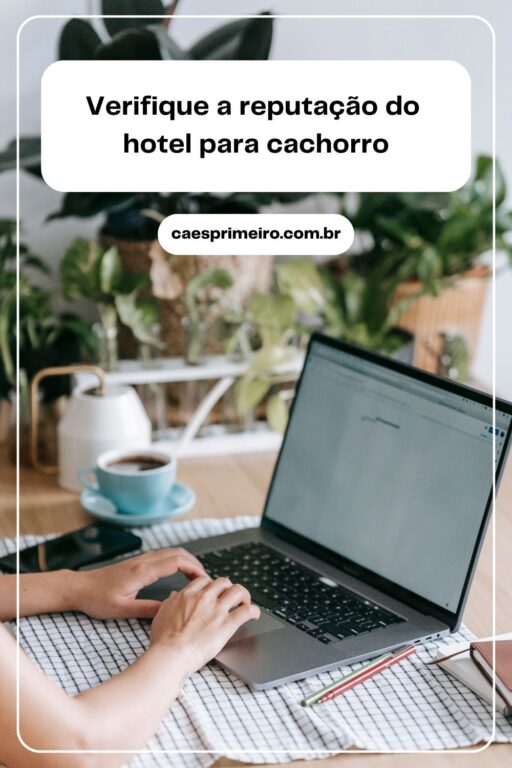 hotel para cachorro