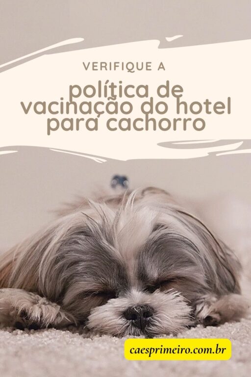 hotel para cachorro