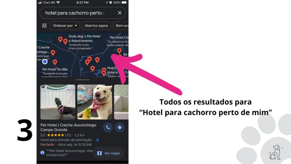 hotel para cachorro perto de mim