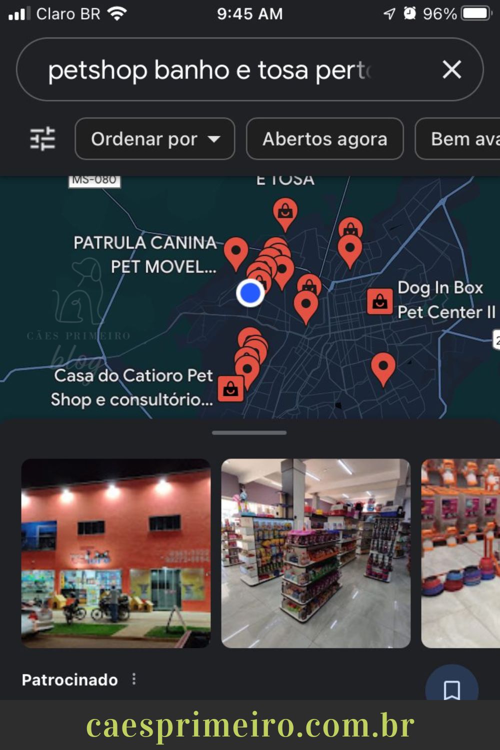 Petshop banho e tosa perto de mim: 3 passos para encontrar