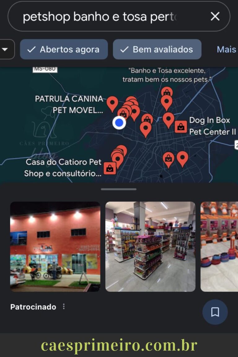 Petshop banho e tosa perto de mim: 3 passos para encontrar