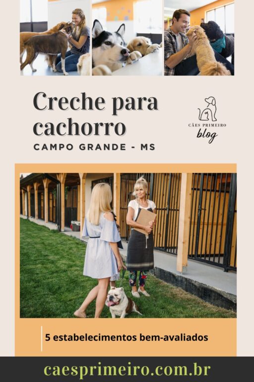 creche para cachorro campo grande ms