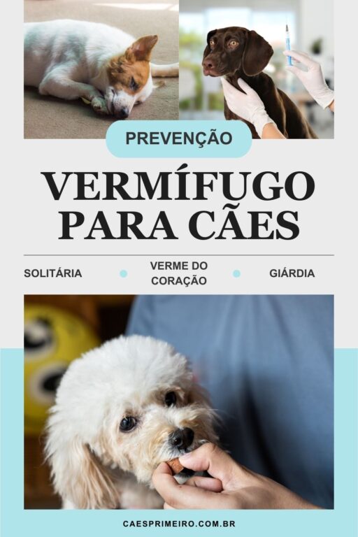 vermífugo para cachorros