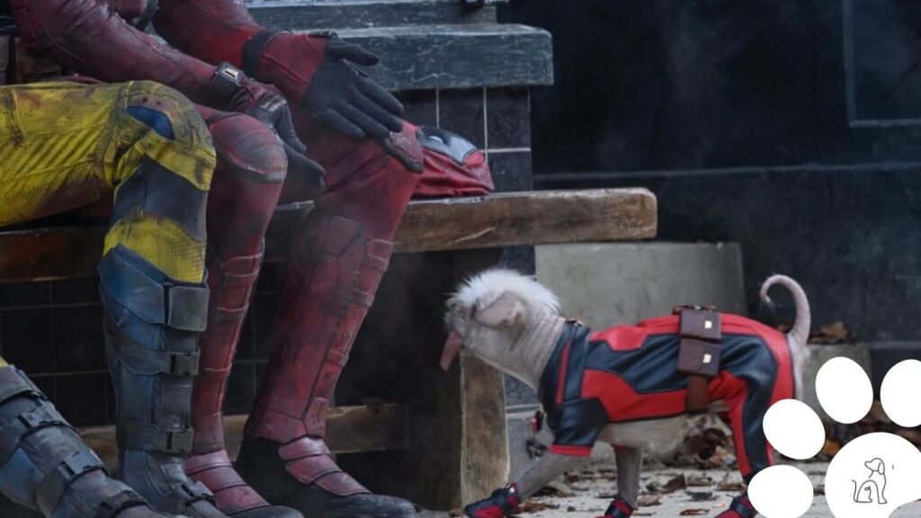 Cachorro do Deadpool, dogpool