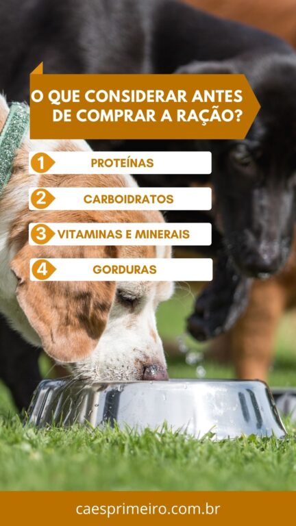 alimentação para cachorro