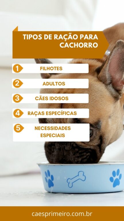 alimentação para cachorro