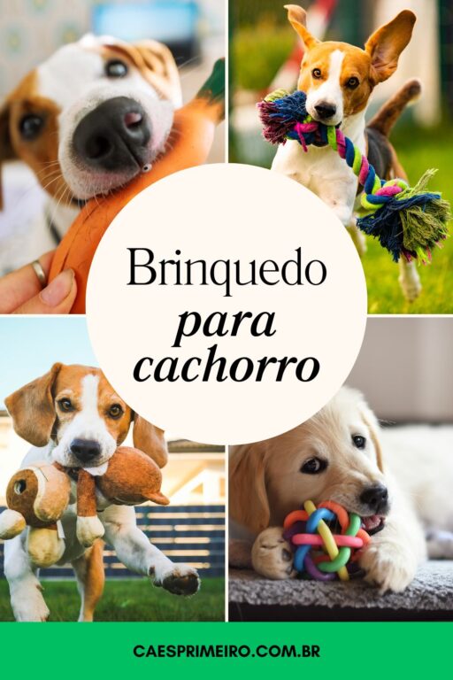 brinquedo para cachorro