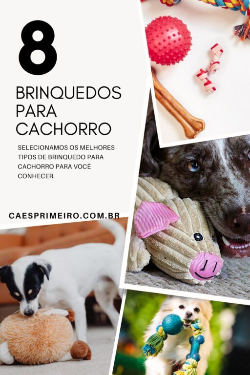 brinquedo para cachorro