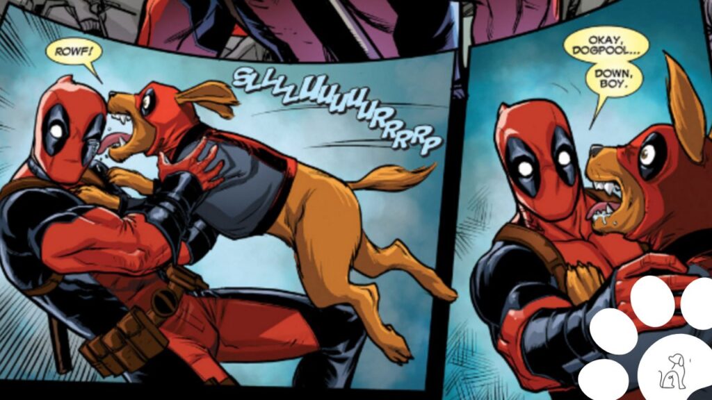 cachorro do deadpool dogpool